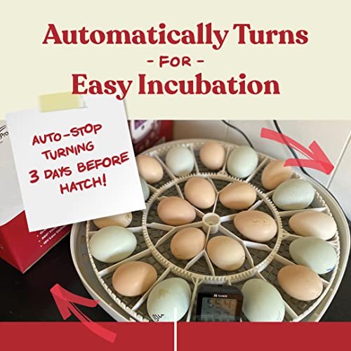 Harris Farms Nurture Right Egg Incubator for Hatching Chicks – Holds 22 Eggs