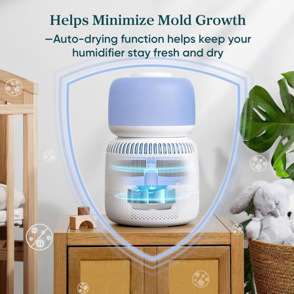 Humidifiers for Bedroom Baby, Sprout Evaporative with Dual Filters for Air & Water, Separate Sensor, Adjustable No Blue Nightlight, Auto Dry, Smart Control & Alexa, Auto Mode, 3.8L Tank for 36H