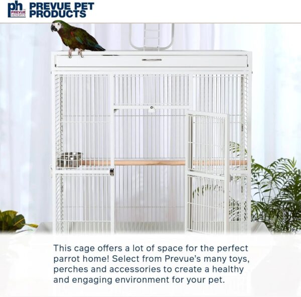 05b8d9fd5f5049c7a361c2101cad8d84 Wrought Iron Select Bird Cage 3154C, Chalk White, 36-Inch by 24-Inch by 66-Inch