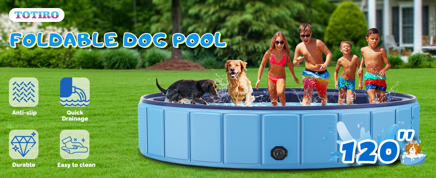 dog pool