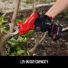 V20 CMCPR320C1 Steel Cordless Pruner