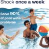 Bestway Oval Above Ground Pool Set (10′ x 6’7′′ x 33′′)| Includes Filter Pump & ChemConnect Dispenser
