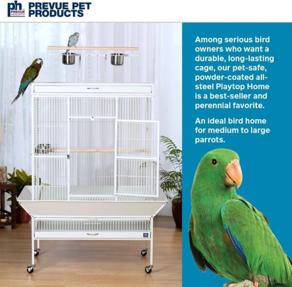 141236e3a7934b698dfc902de83dfbe5 Wrought Iron Select Bird Cage 3154C, Chalk White, 36-Inch by 24-Inch by 66-Inch