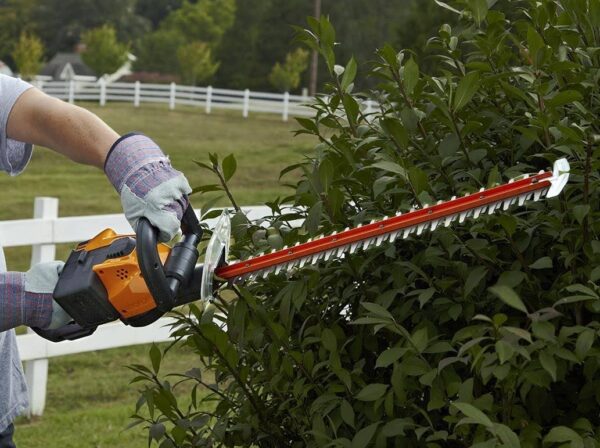 24×22 56V Cordless Hedge Trimmer Wg291