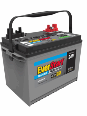 EverStart Platinum BOXED AGM Marine and RV Deep Cycle Battery Group Size 24M, 12 Volt 875 MCA