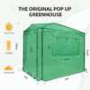EAGLE PEAK 6×4 Portable Walk-in Greenhouse, Pop-up Indoor Outdoor Garden Green House, Zippered Door and Windows, PE Cover, White