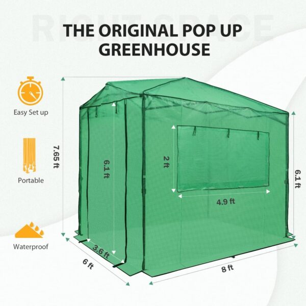 21b4676017a747afa051a063134c8007 EAGLE PEAK 6×4 Portable Walk-in Greenhouse, Pop-up Indoor Outdoor Garden Green House, Zippered Door and Windows, PE Cover, White
