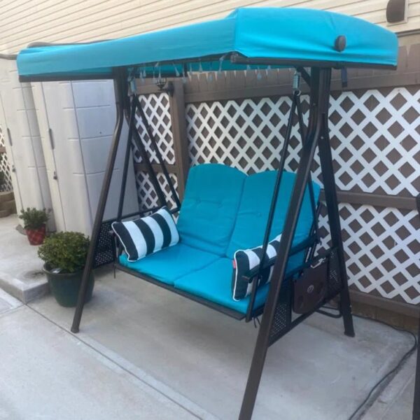 Porch Swing with Canopy