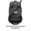 Safety 1st Grow and Go All-in-One Convertible Car Seat, Rear-facing 5-40 pounds, Harvest Moon