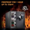 Key Lock Box, Outdoor Lock Box Bundle with SentrySafe Fireproof and Waterproof Safe, 1.23 Cubic Feet