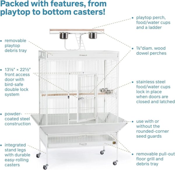 3470b7b02f9b4174b4ab2abc46d23585 Wrought Iron Select Bird Cage 3154C, Chalk White, 36-Inch by 24-Inch by 66-Inch
