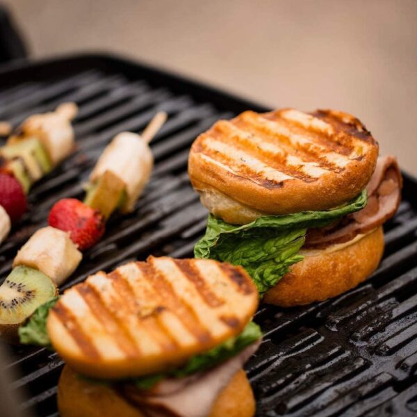 Blue 51080001 Q1200 Liquid Propane Grill