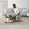 394515-01 Ball Animal 3-Extra Bagless Upright Vacuum Cleaner for Multi Surface with Pet Groom Tool