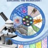 Compound Microscope for Adults & Kids – 100X-2000X High-Power Biological Microscope for Students, School Lab & Home Education, with Slides Set & Phone Adapter (White)