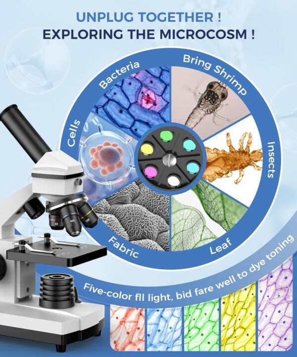 Compound Microscope for Adults & Kids – 100X-2000X High-Power Biological Microscope for Students, School Lab & Home Education, with Slides Set & Phone Adapter (White)