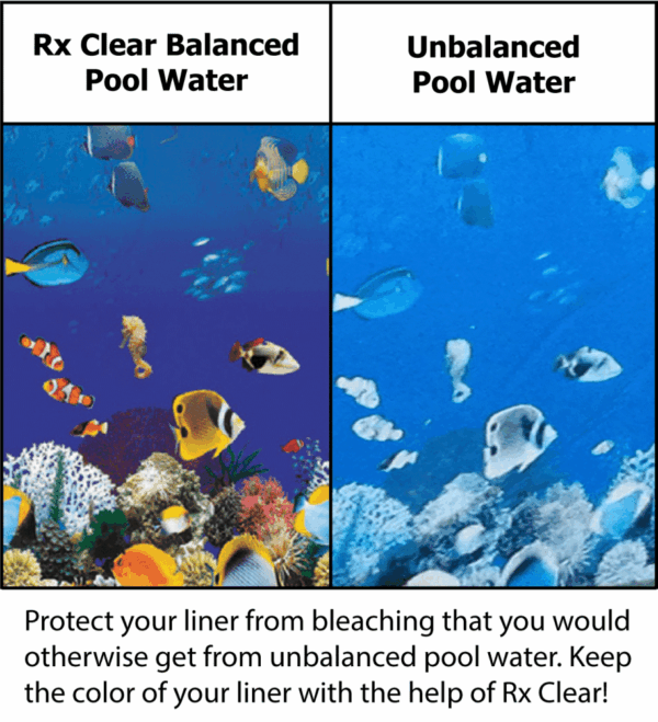 Rx Clear Super Shock for Synergy Pool Systems 24 lb