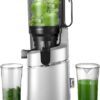 Juicer Machines, 5.3-Inch Self-Feeding Masticating Juicer Fit Whole Fruits & Vegetables, Cold Press Electric Juicer Machines with High Juice Yield, Easy Cleaning, BPA Free, 250W