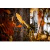 SpyPoint FLEX-S Cellular Trail Camera