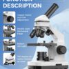 Compound Microscope for Adults & Kids – 100X-2000X High-Power Biological Microscope for Students, School Lab & Home Education, with Slides Set & Phone Adapter (White)