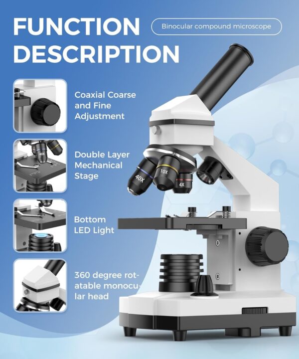 Compound Microscope for Adults & Kids – 100X-2000X High-Power Biological Microscope for Students, School Lab & Home Education, with Slides Set & Phone Adapter (White)