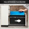DEVAISE 3 Drawer Mobile File Cabinet Under Desk Office, Fully Assembled Except Casters, Letter/Legal Size, Black