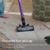 Cleanview XR Pet 300W Cordless Vacuum with Removable Battery, 3797V