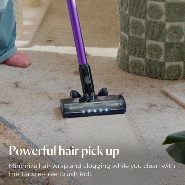 Cleanview XR Pet 300W Cordless Vacuum with Removable Battery, 3797V