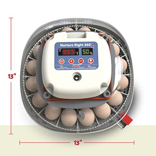 5d4effe576524bd8b8e5cd622b8cb797 Harris Farms Nurture Right Egg Incubator for Hatching Chicks – Holds 22 Eggs