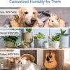 Humidifiers for Bedroom Large Room 6L Warm and Cool Mist for Families Plants with Built-in Humidity Sensor