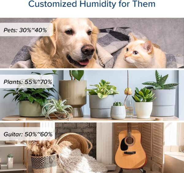 60c9da9f2d7f4dfaa2496eb449ca59eb Humidifiers for Bedroom Large Room 6L Warm and Cool Mist for Families Plants with Built-in Humidity Sensor