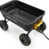 7GCG-NF Heavy-Duty Poly Dump Garden Cart with No-Flat Tires, 7 Cubic Feet, 1200-Pound Capacity, Black, Amazon Exclusive