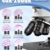 Compound Microscope for Adults & Kids – 100X-2000X High-Power Biological Microscope for Students, School Lab & Home Education, with Slides Set & Phone Adapter (White)