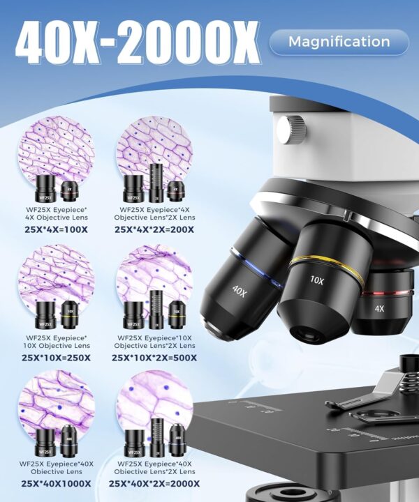 Compound Microscope for Adults & Kids – 100X-2000X High-Power Biological Microscope for Students, School Lab & Home Education, with Slides Set & Phone Adapter (White)