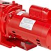RL-SPRK150 44 PSI Cast Iron Self-Priming Lawn Sprinkler Pump
