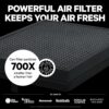 Air Purifiers for Home Large Rooms – Covers Up To 1,000 Sq Ft – Filters Up To 99.9% of Pollutants, Smoke, Pollen, Dust – Quiet HEPA Air Filter – Air Purifiers for Bedroom