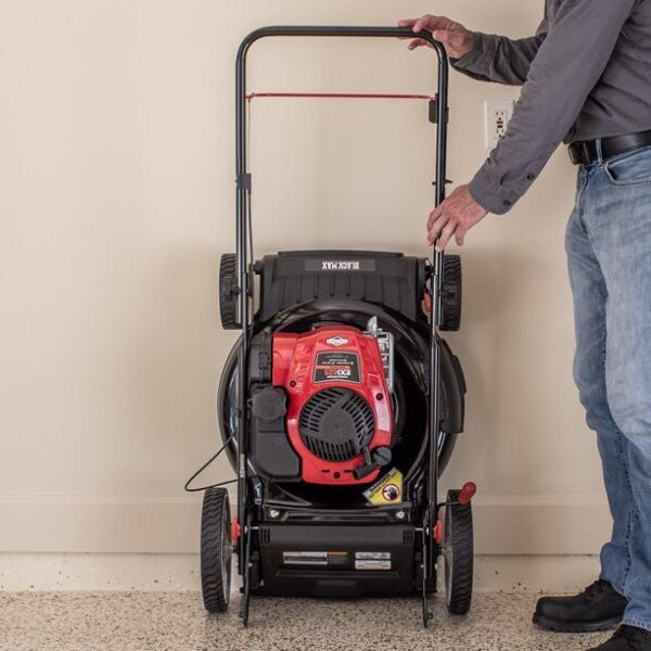 68adc83c6f6a403080e38693c3c3db1a 21-inch 150cc Gas Push Mower with Mow-N-Stow