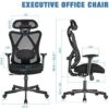 Ergonomic Office Chair, Mesh Computer Desk Chair , High Back Executive Task Chair