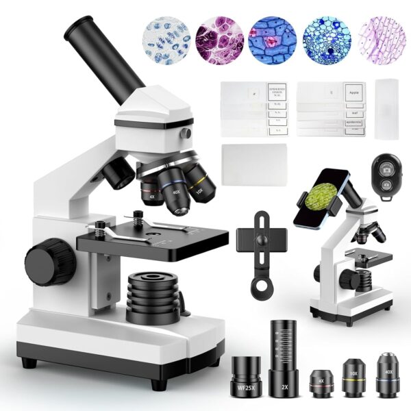 Compound Microscope for Adults & Kids – 100X-2000X High-Power Biological Microscope for Students, School Lab & Home Education, with Slides Set & Phone Adapter (White)