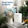 Humidifiers for Bedroom Baby, Sprout Evaporative with Dual Filters for Air & Water, Separate Sensor, Adjustable No Blue Nightlight, Auto Dry, Smart Control & Alexa, Auto Mode, 3.8L Tank for 36H