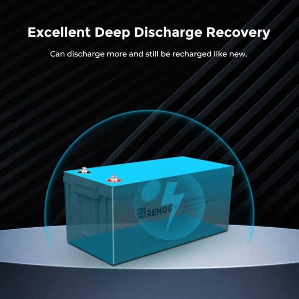 Renogy BATT-AGM12-200 Deep Cycle AGM Battery 12-Volt 200Ah Safe Charge Most Home Appliances for RV, Off-Grid Solar System, Maintenance-Free