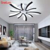 Acrylic Ceiling Light