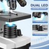 Compound Microscope for Adults & Kids – 100X-2000X High-Power Biological Microscope for Students, School Lab & Home Education, with Slides Set & Phone Adapter (White)
