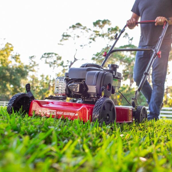 7c7131eb281f4f6083b9507da3f54df5 20-Inch 125Cc Gas Push Mower with Briggs & Stratton Engine