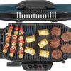 Coleman RoadTrip 285 Portable Stand-Up Propane Grill