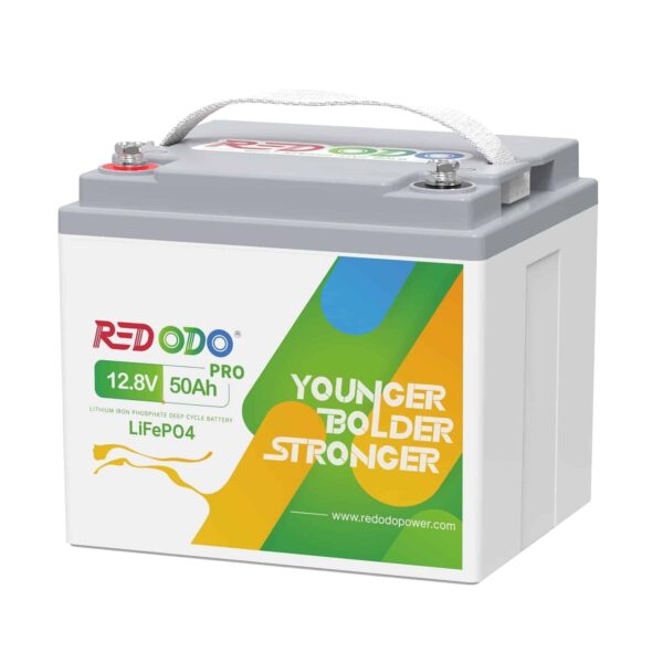 Redodo Portable 12V 50Ah LiFePO4 Lithium Battery 4000-8000 Cycles 10-Year lifetime, Perfect for RV, Camper, Security Devices