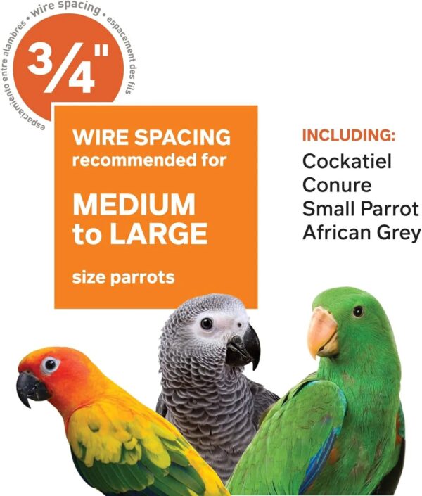 8d418cb859f64288b66c84c31b62c170 Wrought Iron Select Bird Cage 3154C, Chalk White, 36-Inch by 24-Inch by 66-Inch
