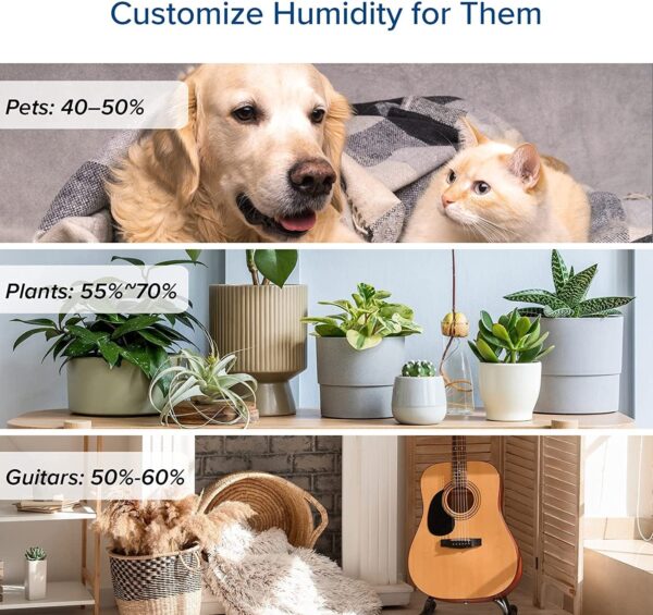 929d7ba2b491442bb469b3740daaf42b Humidifiers for Bedroom Large Room 6L Warm and Cool Mist for Families Plants with Built-in Humidity Sensor