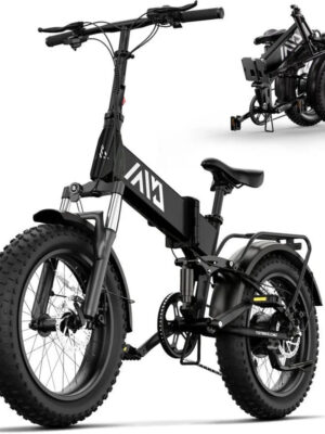 Buddy Pro 750W Foldable Electric Bike, 20′′ Fat Tire, 48V 13Ah Battery, Dual Suspension, LCD Display, Black