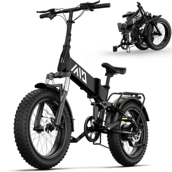 Buddy Pro 750W Foldable Electric Bike, 20′′ Fat Tire, 48V 13Ah Battery, Dual Suspension, LCD Display, Black