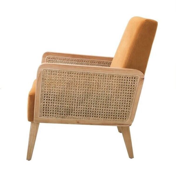 96e7645be37b4a6d9641170ae4ff1574 Upholstered Accent Chair with Rattan Arms
